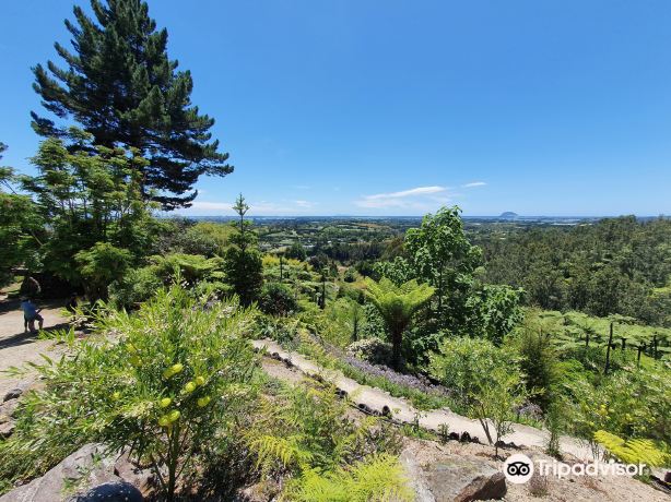 Te Puna Quarry Park & venue 'The Gallery'