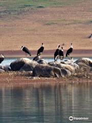 Harangi Backwaters