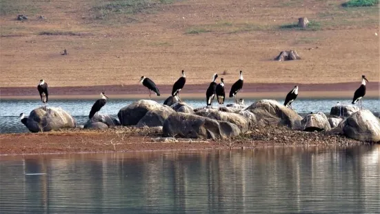 Harangi Backwaters