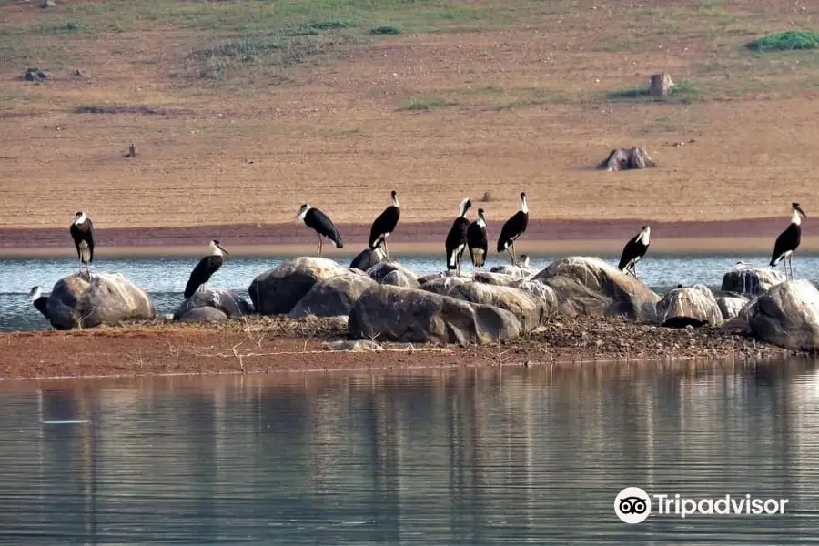 Harangi Backwaters