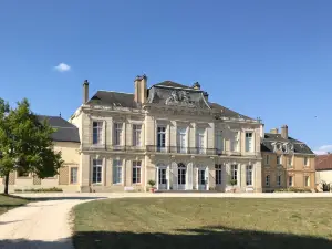 Chateau d'Arcelot