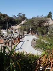 Waiariki Pools (Ngawha Springs Hot Pool)