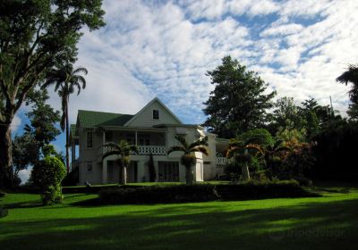 Sunnyside Garden