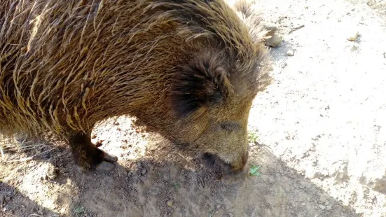 Parco Avventura Il Giardino Sospeso