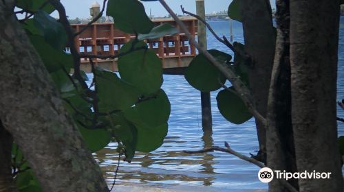 Jungle Prada de Narvaez Park Boat Ramp