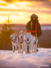 Spruce Island Husky