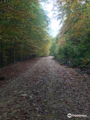 Mount Paiko Cycle Routes