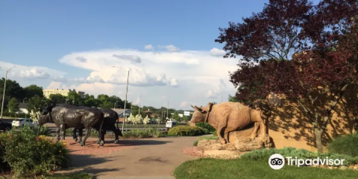 Pioneer Crossing Park