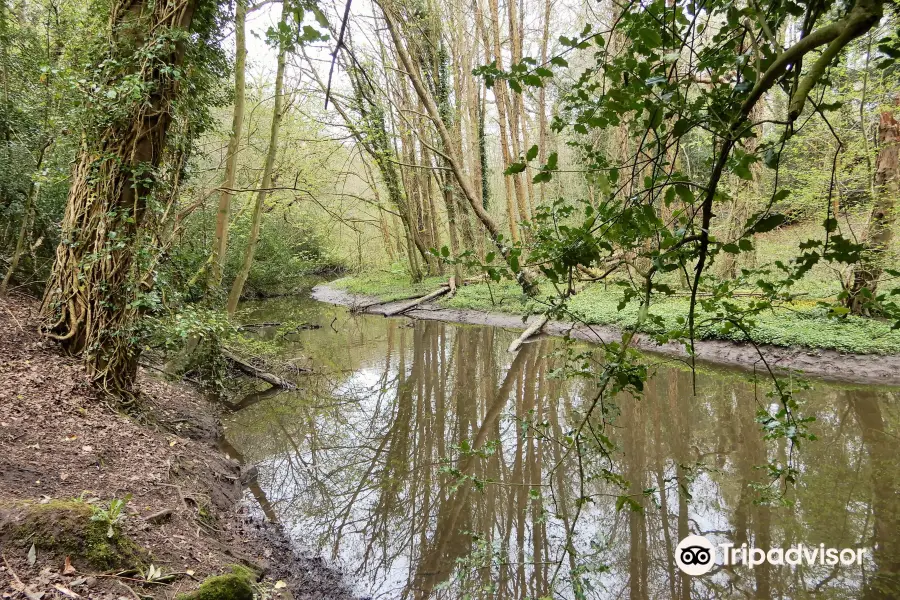 Brotherton Nature Park