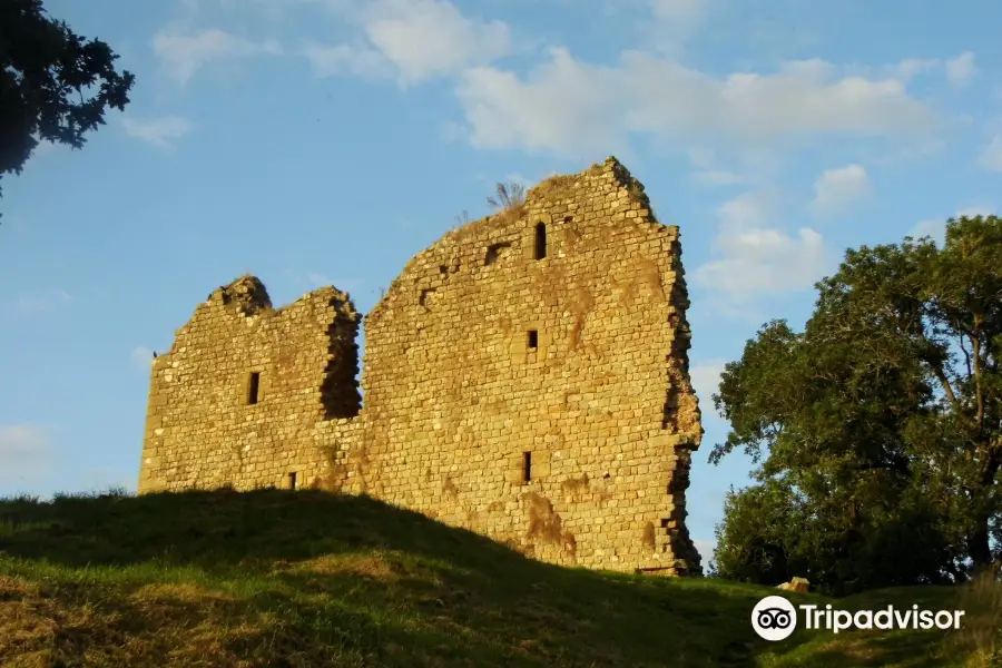 Thirlwall Castle