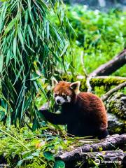 Sikkim Himalayan Zoological Park