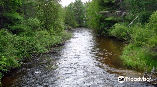 Boardman River