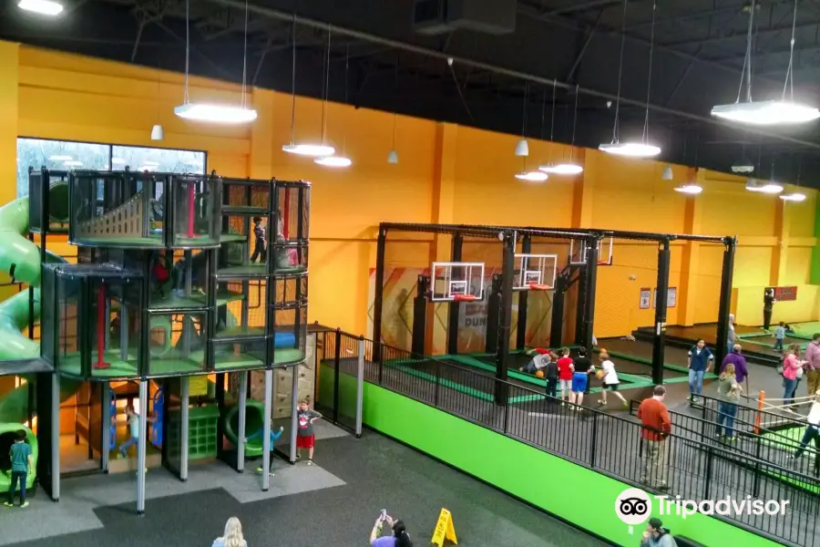 Sky Zone Trampoline Park - Buford