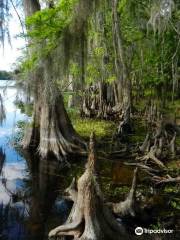 Captain Jed’s Airboat Rides