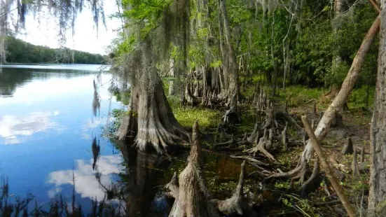 Captain Jed’s Airboat Rides