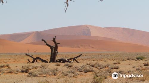 Namib Desert