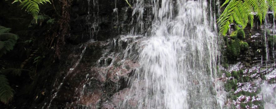 Fern Tree to Silver Falls Loop