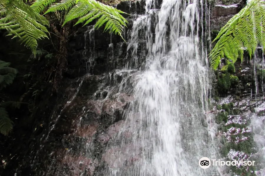 Fern Tree to Silver Falls Loop