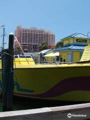 Sea Screamers of Clearwater