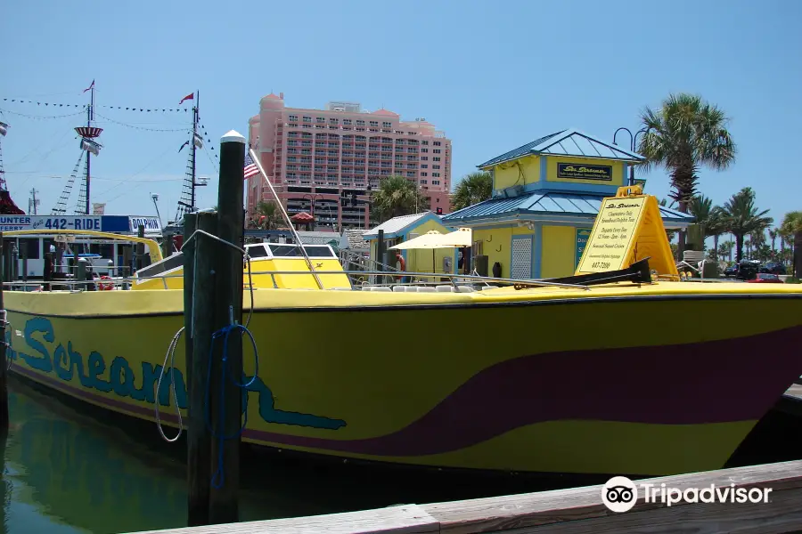 Sea Screamers of Clearwater