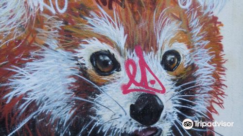 Fresque Le Panda Roux