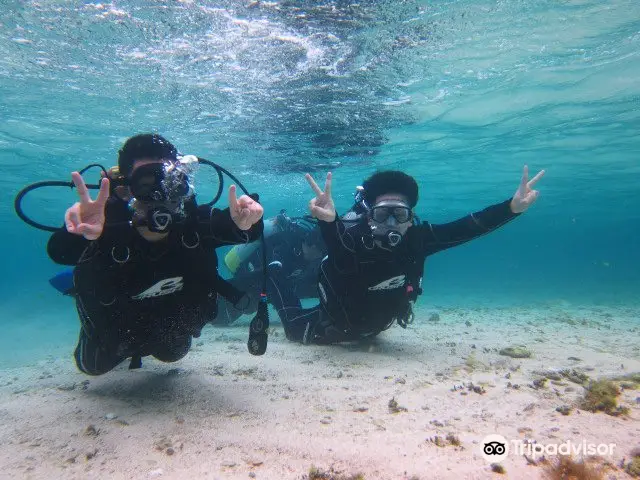 Okinawa Diving Churaumi Goonies