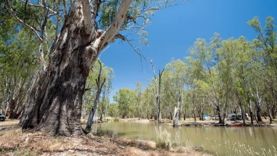 Lower Ovens Wildlife Reserve