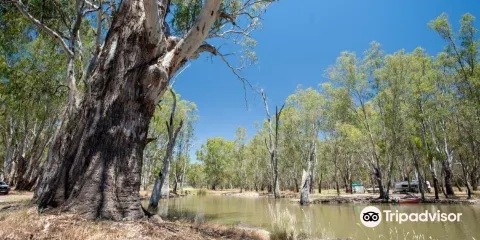 Lower Ovens Wildlife Reserve
