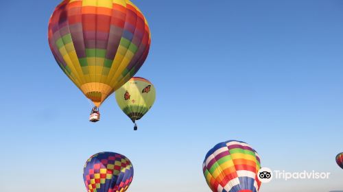 Adirondack Balloon Festival