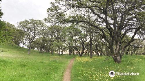 Rockville Hills Regional Park