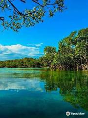 Guanica Dry Forest