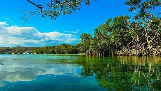 Guanica Dry Forest