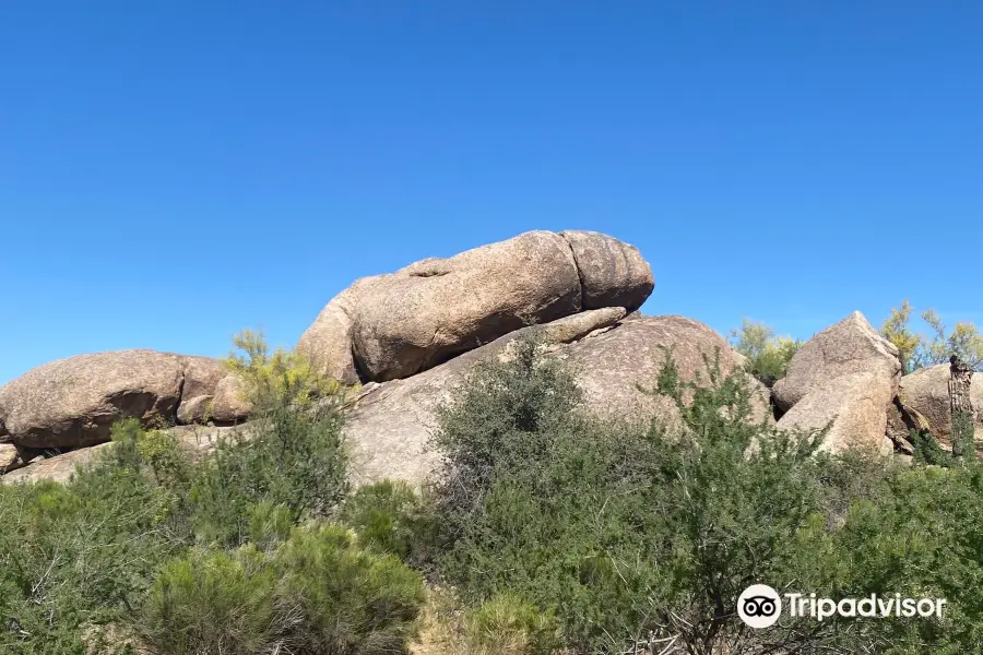 Phallic Rock