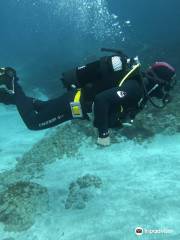 Dive Tenerife