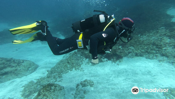 Dive Tenerife