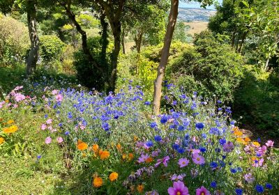 Plant World Nursery and Gardens