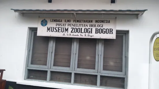 Museum Zoologi