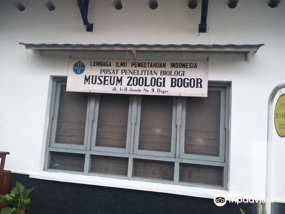 5_Museum of Zoology (Museum Zoologicum Bogoriense)