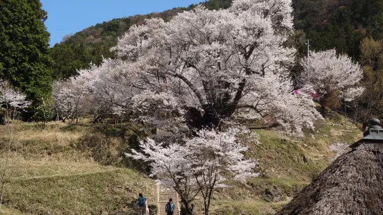 Butsuryu-ji Temple