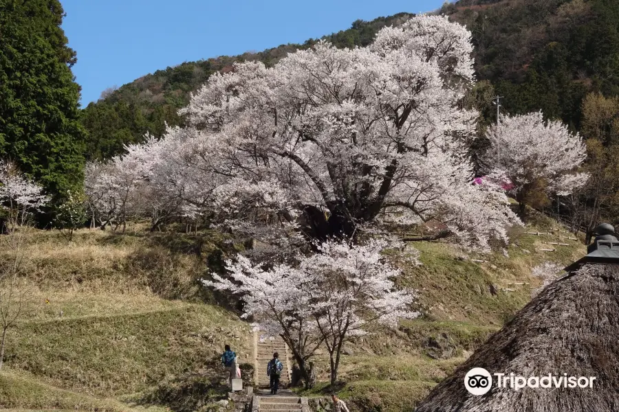 佛隆寺