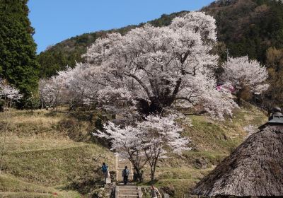 Butsuryuji Temple