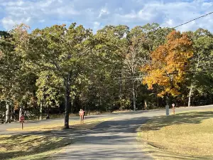 グリーンリーフ州立公園