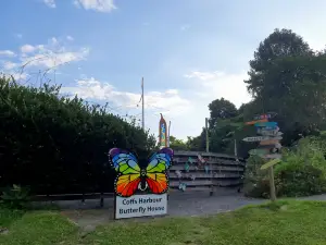 Coffs Harbour Butterfly House