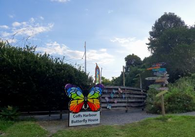 Coffs Harbour Butterfly House