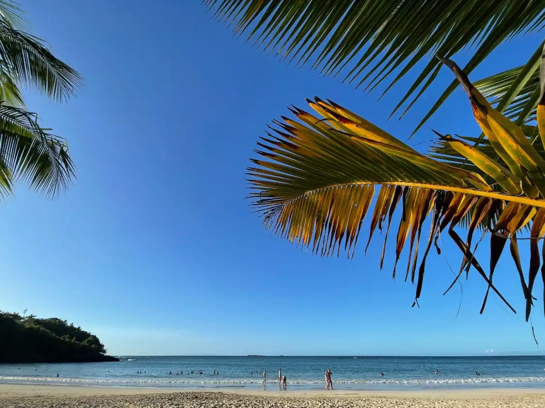 Hotels near Playa Las Ballenas