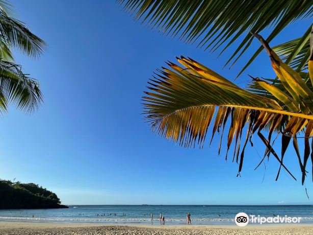 Лас-Терренас