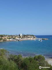 Marina Cabo Roig