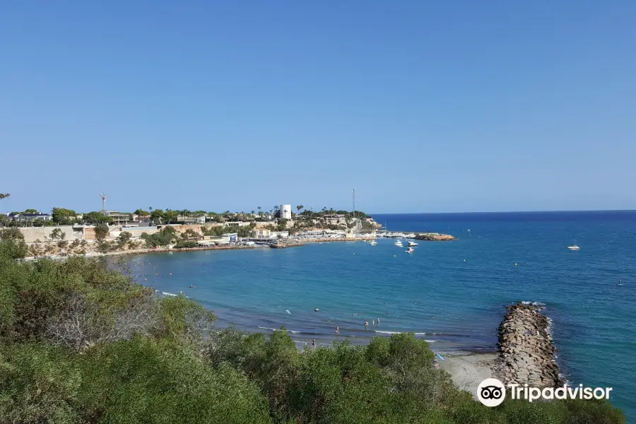 Marina Cabo Roig