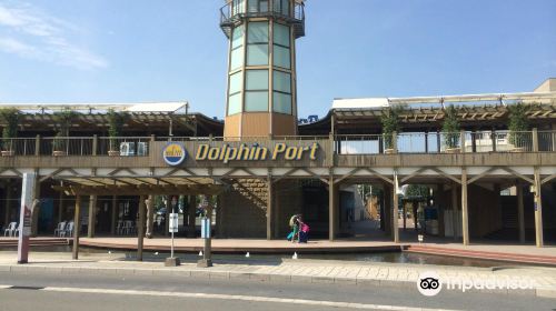 Dolphin Port