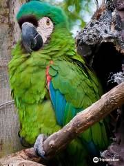 Zoologico de Quito